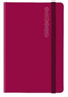 AGENDA GIORNALIERA S/D 11X16,5 C/ELASTICO DYNAMIC ROSSO