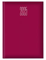 AGENDA GIORNALIERA S/D 21X29,7 IN GOMMATO ROSSA NOTABENE