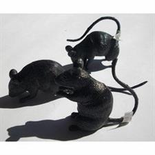 RATTO FISCHIANTE CM.8 ART.067