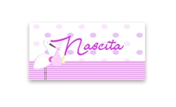 BIGLIETTINI Z.BOMBONIERA NASCITA ROSA ANNI CONF.DA 2 FOGLI X20PZ