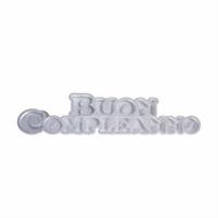 POLISTIROLO COFANETTO BUON COMPLEANNO CM 70X15