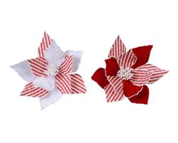 APPEND.ROSSO/BIANCO STELLA DI NATALE D.27 H.110