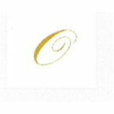 TOVAGLIOLI LETTERA O2 VELI 25X25 X20 PEZZI