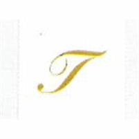 TOVAGLIOLI LETTERA T2 VELI 25X25 X20 PEZZI