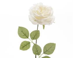 FIORI ROSA H.145 CM.