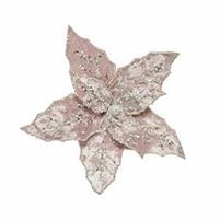 APPEND.ROSA STELLA D.20  H.5CM.