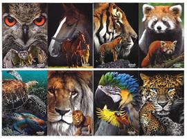 MAXI QUADERNI A4 20FF+1 GR.80 ANIMALS CONF.10 PEZZI RIG.10F