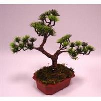 FIORE BONSAI C/VASO IN PLASTICA