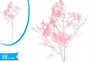 FIORE GYPSOPHILA ROSA
