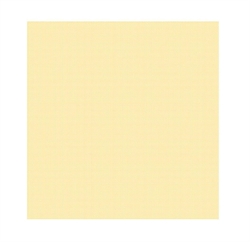 AIRLAID SECCO SHADE REEF CHAMPAGNE TOVAGLIOLO 40X40 CM. X 50PZ
