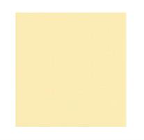 AIRLAID SECCO SHADE REEF CHAMPAGNE TOVAGLIOLO 40X40 CM. X 50PZ