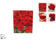 BUSTA REGALO CORDINO SAN VALENTINO 18X14X7CM 4 ASS.