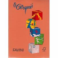 FOGLI A4 80GR.LE CIRQUE COLORI FORTI 500FF ARANCIO TROPICO