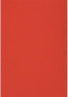 FOGLI EVA FOAM 1FG. 40X60CM COL. ROSSO