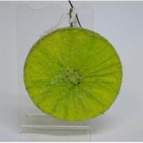 PICK 1 FETTA KIWI ZUCCHERATA CM.6