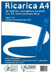 DIDATTICO-RICAMBI F.TO P. RIGA 1CM(C)COPERTINA BLU