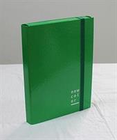 CARTELLA CON ELASTICO D.07 35X25 NEW COLOR VERDE
