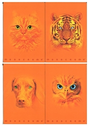 MAXI QUADERNI A4 100 GR. 18FF+1 MONOCROMO ORANGE RIG.4MM