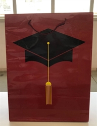 BUSTA REGALO CORDINO LAUREA 21X7,5X18