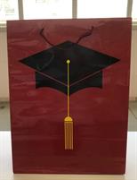 BUSTA REGALO CORDINO LAUREA 21X7,5X18
