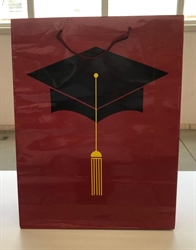 BUSTA REGALO CORDINO LAUREA 33,6X9X28