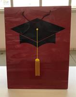 BUSTA REGALO CORDINO LAUREA 33,6X9X28