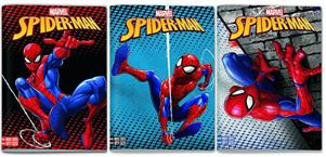 SPIDERMAN MAXI QUADERNI A4 100 GR. 24FF+1 RIG.10MM