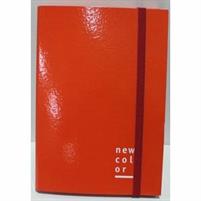 CARTELLA CON ELASTICO D.02 25X35 NEW COLOR ROSSA