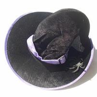 CAPPELLO ADULTO STREGA C/RAGNI CM.45