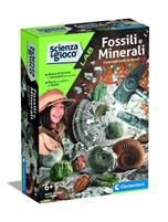 CLEMENTONI FOSSILI E MINERALI