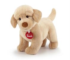 TRUDI LABRADOR LIAM S 15X19X29