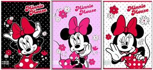 MINNIE MAXI QUADERNI A4 100 GR. 24FF RIG.Q