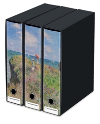 HALTA DEFINIZIONE- SET 3 RACC.ANELLI DORSO 8CM PASSEGGIATA SULLA