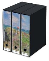 HALTA DEFINIZIONE- SET 3 RACC.ANELLI DORSO 8CM PASSEGGIATA SULLA
