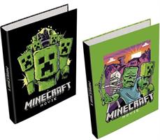 CARTELLA A 4 ANELLI A4 D.30 MINECRAFT MOVIE