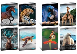 MAXI QUADERNI A4 20FF+1 GR.80 ANIMALI CONF.10 PEZZI RIG.A