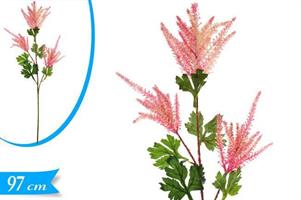 FIORE ASTILBE ROSA