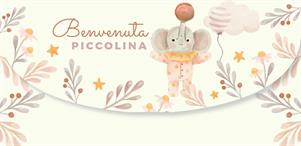 BIGLIETTINI NASCITA PORTASOLDI