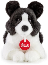 TRUDI BORDER COLLIE SCOTT S 12X18X25