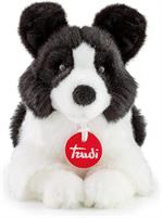 TRUDI BORDER COLLIE SCOTT S 12X18X25