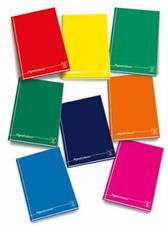REGISTRI 128+2FF pag.256 CARTONATI RIG.A PIGNA COLORS