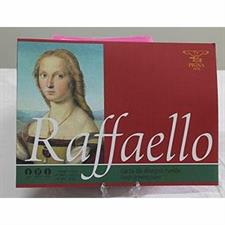 ALBUM PIGNA 24X33 10FF.RAFFAELLO RUVIDO
