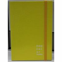 CARTELLA CON ELASTICO D.02 25X35 NEW COLOR GIALLA