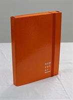 CARTELLA CON ELASTICO D.03 25X35 NEW COLOR ARANCIO