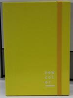 CARTELLA CON ELASTICO D.03 25X35 NEW COLOR GIALLO