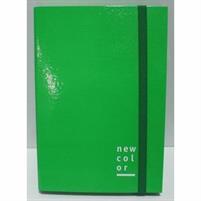 CARTELLA CON ELASTICO D.03 25X35 NEW COLOR VERDE