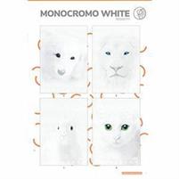 MAXI QUADERNI A4 18FF+1 100GR. RIL.MONOCROMO WHITE CF.10 RIG.1R